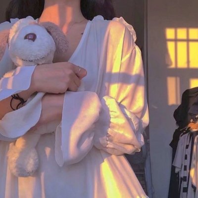 高卢英雄大战凯撒王子